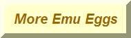 Page 2 carved emu eggs
